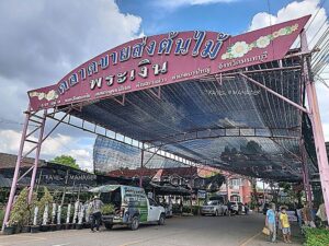 ทำเล 15 ตลาดต้นไม้พระเงิน